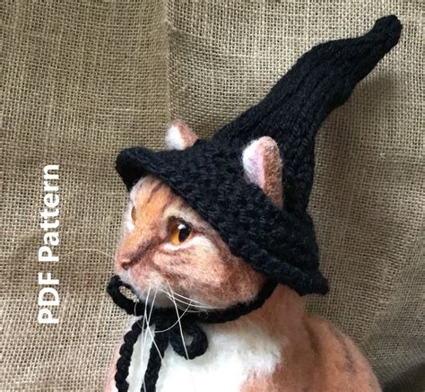 Add a touch of whimsy to your cat's wardrobe with a crochet witch hat